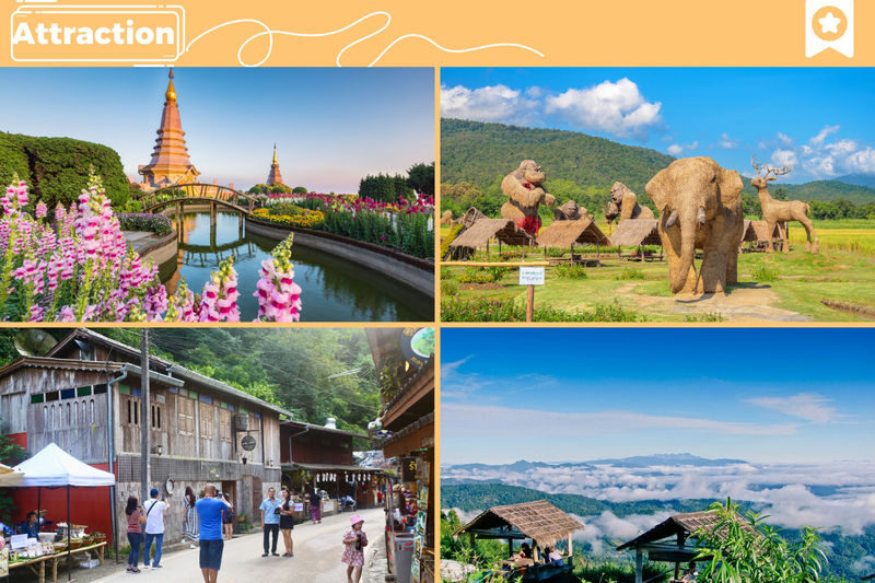 Chiang Mai CustomTour Night Safari DoiInthanon and More by AK Travel - Is this charter worth booking?