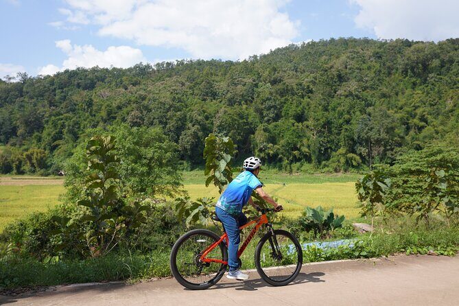 Chiang Mai: Cycling Nam Phare Countrysides, Breezy-Relax & Lunch - An In-Depth Look at the Tour Experience