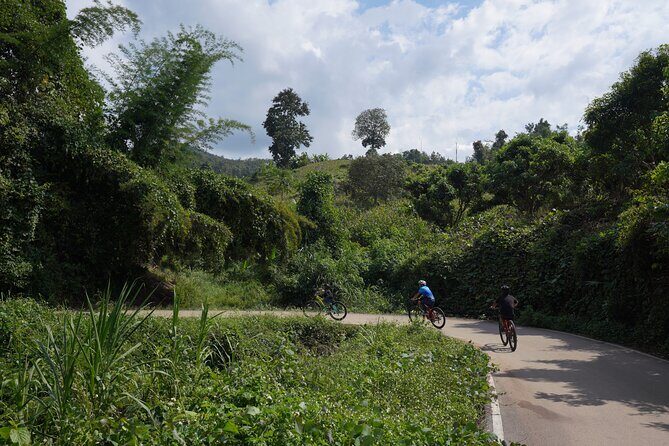 Chiang Mai: Cycling Nam Phare Countrysides, Breezy-Relax & Lunch - Why We Recommend This Tour