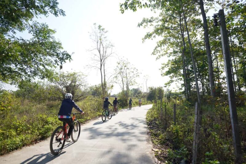 Chiang Mai: Cycling NamPhare Countrysides, Breezy-Relax Trip - An Overview of the Cycling Adventure