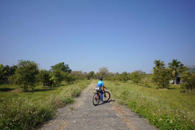 Chiang Mai: Cycling NamPhare Countrysides, Breezy-Relax Trip - The Experience from Review Insights