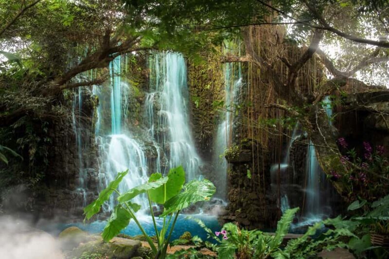 Chiang Mai: Dan Tewada Land, Bamboo Rafting & Waterfall Tour - Introduction: Why This Tour Works