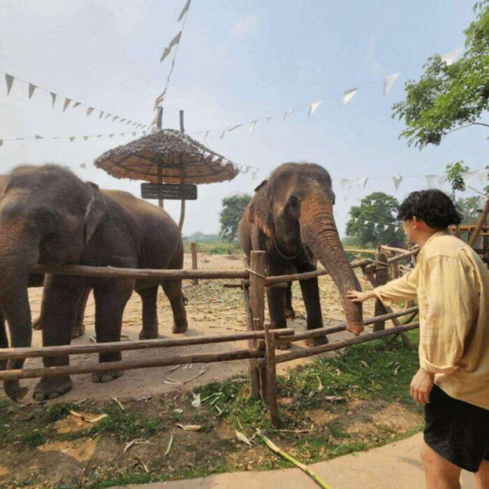Chiang Mai: Dantewada ,Wat Ban Den Temple & Cafe Elephant - Relaxing at the Elephant Café