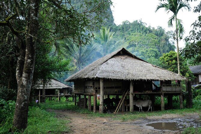 Chiang Mai Day Tour: Chiang Dao Cave and Hill Tribes - FAQ