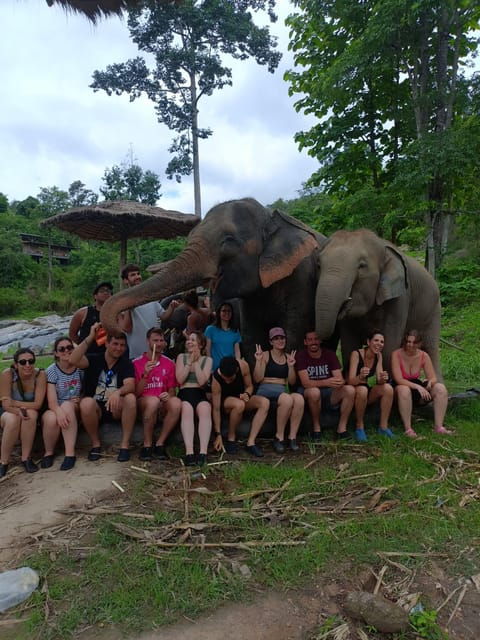 Chiang Mai Day Tours - Wildlife and Nature Exploration