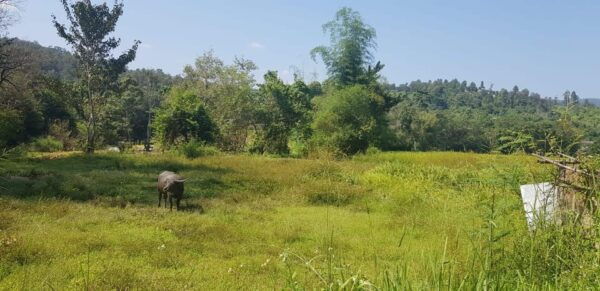 Chiang Mai Day Tours - Questions You May Have