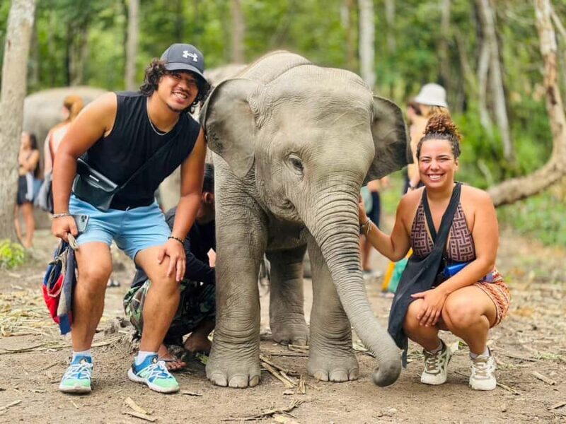 Chiang Mai: Doi Inthanon and Elephant Sanctuary Tour - An In-Depth Look at the Chiang Mai Doi Inthanon and Elephant Sanctuary Tour