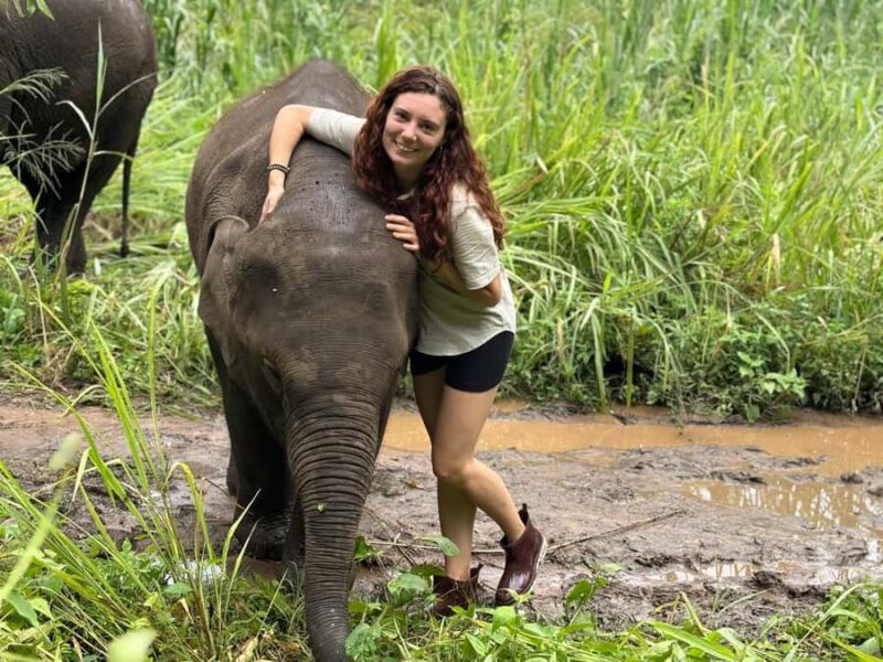 Chiang Mai: Doi Inthanon and Elephant Sanctuary Tour - Practical Details and Tips