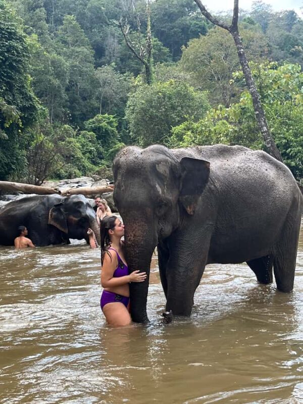Chiang Mai: Doi Inthanon and Elephant Sanctuary Tour - Overall Value and Who Will Love This Tour