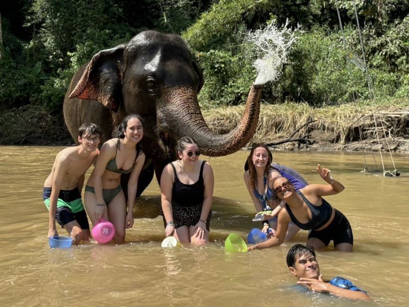 Chiang Mai Doi Inthanon & Elephant Sanctuary Full-Day Wildlife Tour - Doi Inthanon’s summit and cooler air