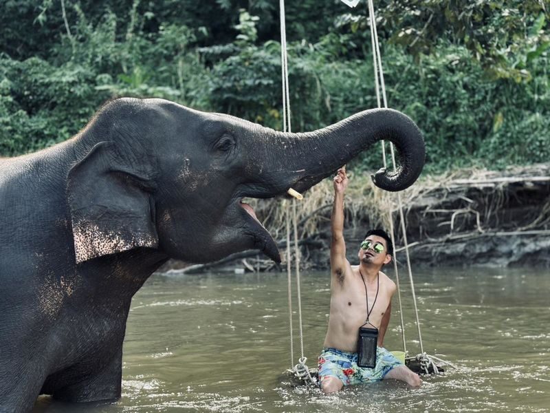 Chiang Mai Doi Inthanon & Elephant Sanctuary Full-Day Wildlife Tour - The Twin Pagodas: a scenic and cultural pause