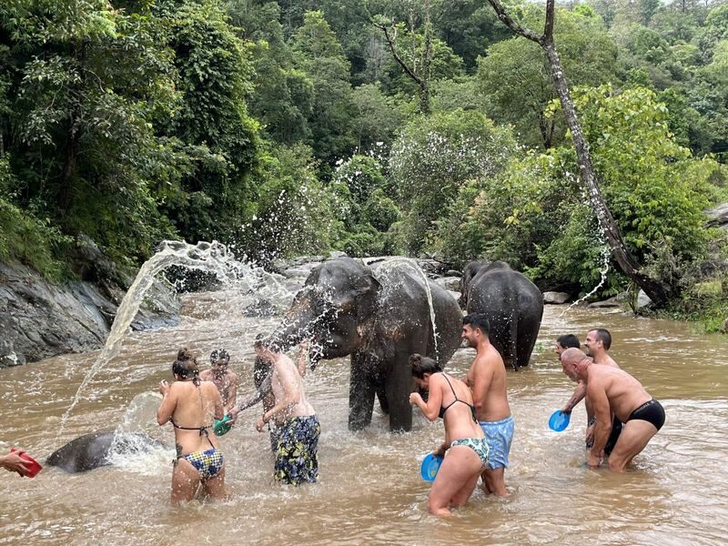 Chiang Mai Doi Inthanon & Elephant Sanctuary Full-Day Wildlife Tour - Wachirathan Waterfall’s forceful finale
