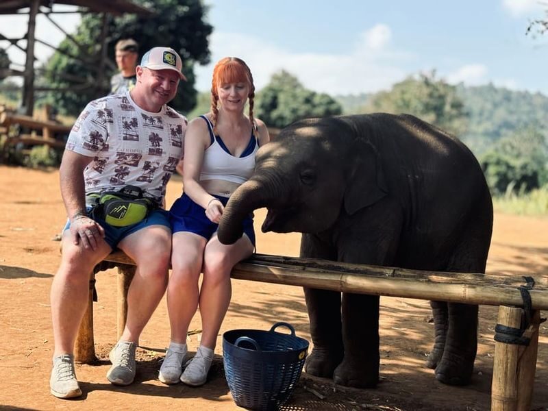 Chiang Mai Doi Inthanon & Elephant Sanctuary Full-Day Wildlife Tour - Guides, transport and the pace of the day
