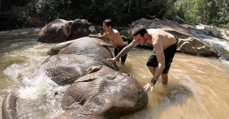Chiang Mai :Doi Inthanon Explore &Ethical Elephant Sanctuary - Activity Details