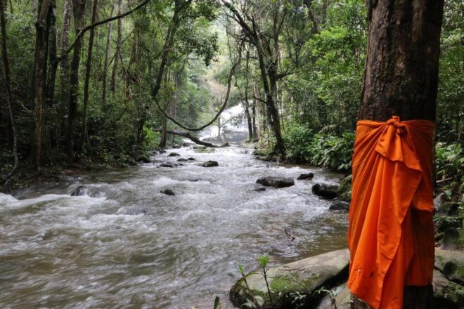 Chiang Mai: Doi Inthanon Highlights and Hiking Private Tour - Customer Reviews