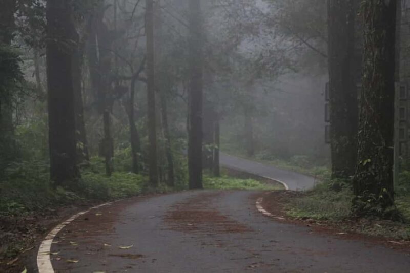 Chiang Mai: Doi Inthanon Hike, Coffee, and Tree Planting - Good To Know