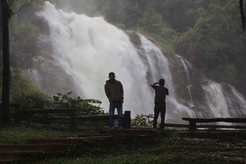 Chiang Mai: Doi Inthanon Hike, Coffee, and Tree Planting - The Practicalities: What to Know Before Booking