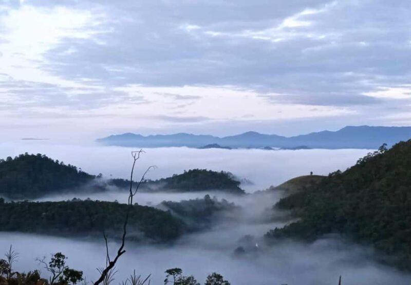 Chiang Mai: Doi Inthanon Hike, Coffee, and Tree Planting - Why This Tour Is a Great Fit
