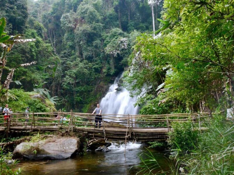 Chiang Mai: Doi Inthanon Hike, Coffee, and Tree Planting - An In-Depth Look at the Experience