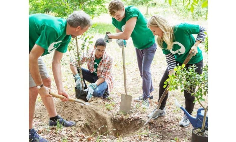 Chiang Mai: Doi Inthanon Hike, Coffee, and Tree Planting - The Sum Up