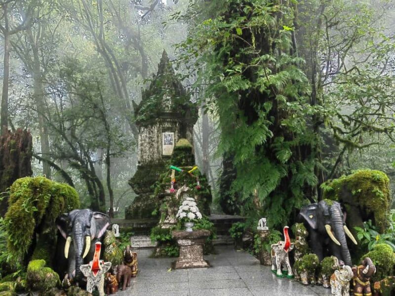 Chiang Mai: Doi Inthanon Hike, Hidden falls & Karen Culture - The Sum Up