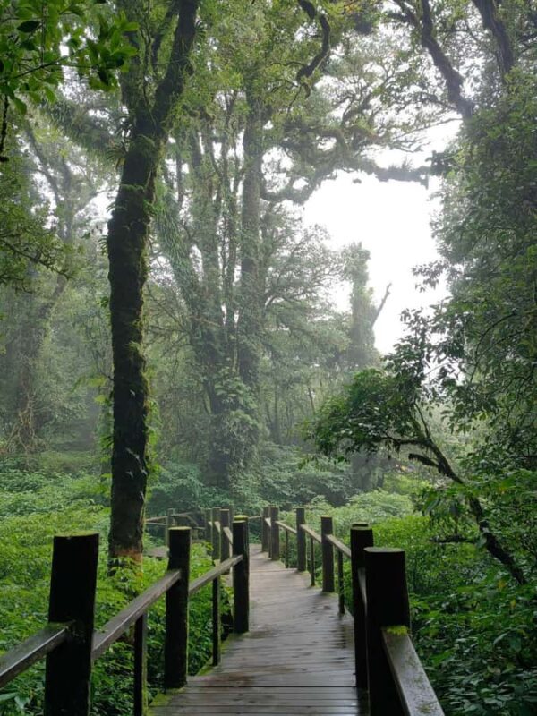 Chiang Mai: Doi Inthanon Hike, Hidden falls & Karen Culture - Lunch at a Village Kitchen