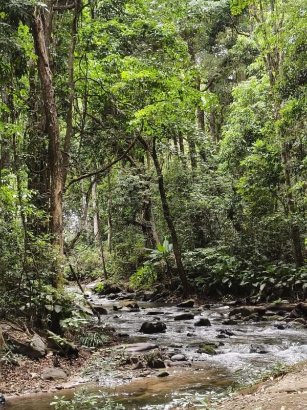 Chiang Mai: Doi Inthanon Hike, Hidden falls & Karen Culture - Is this tour worth it?