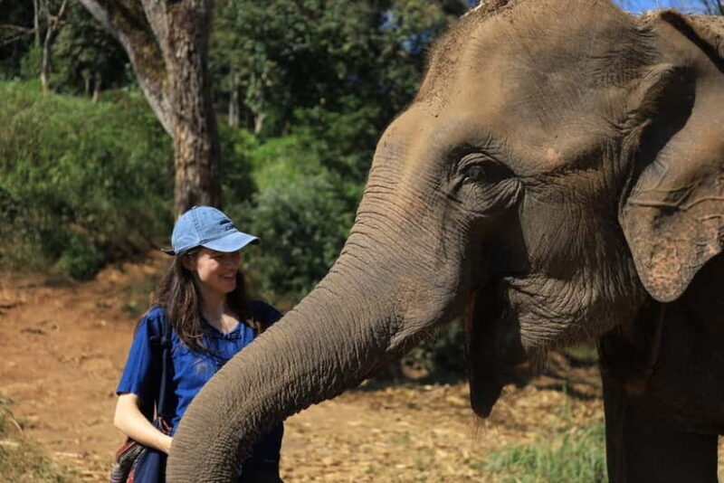 Chiang Mai: Doi Inthanon Hiking Tour & Elephant Care Program - An Honest Look at the Experience