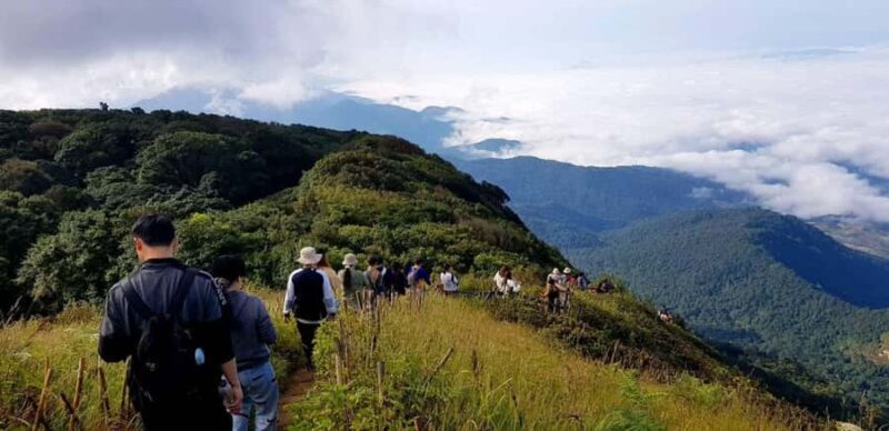 Chiang Mai: Doi Inthanon Kew Mae Pan Trek & Panoramic Views - Good To Know
