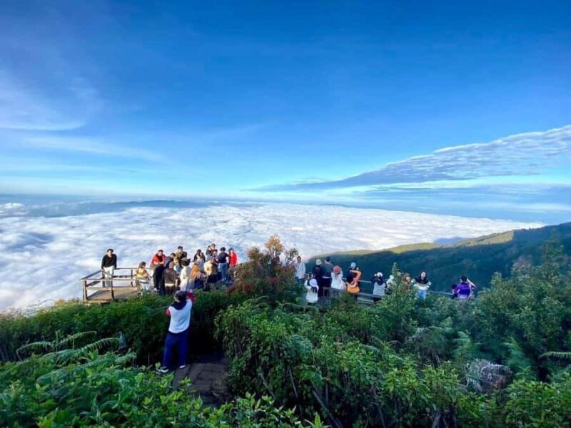 Chiang Mai: Doi Inthanon Kew Mae Pan Trek & Panoramic Views - Who Is This Tour Best For?