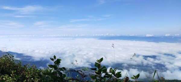 Chiang Mai: Doi Inthanon National Day Trip Kiw Mae Pan Trek - Directions