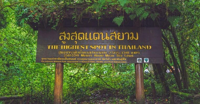Chiang Mai: Doi Inthanon National Park and Pha Dok Siew Trek - Trekking Experience