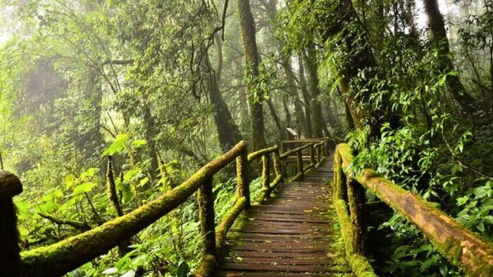 Chiang Mai: Doi Inthanon National Park and Pha Dok Siew Trek - Frequently Asked Questions