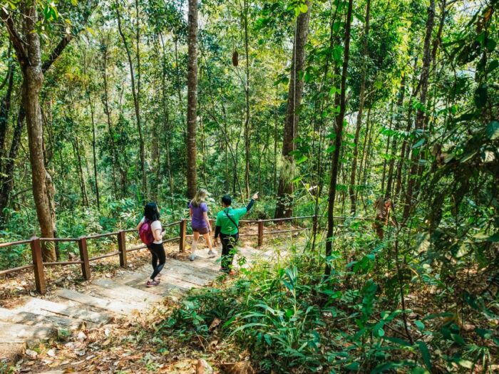 Chiang Mai: Doi Inthanon National Park Eco-Friendly Tour - Booking and Pickup