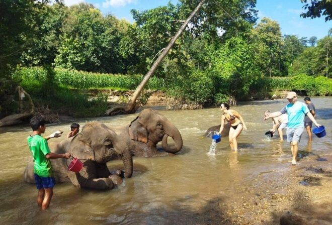 Chiang Mai: Doi Inthanon National Park & Elephant Sanctuary - Inclusions and Exclusions
