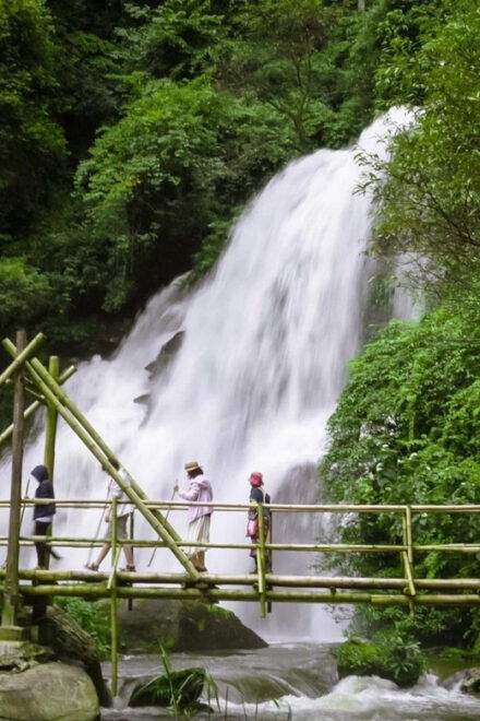 Chiang Mai: Doi Inthanon National Park & Elephant Sanctuary - Important Information