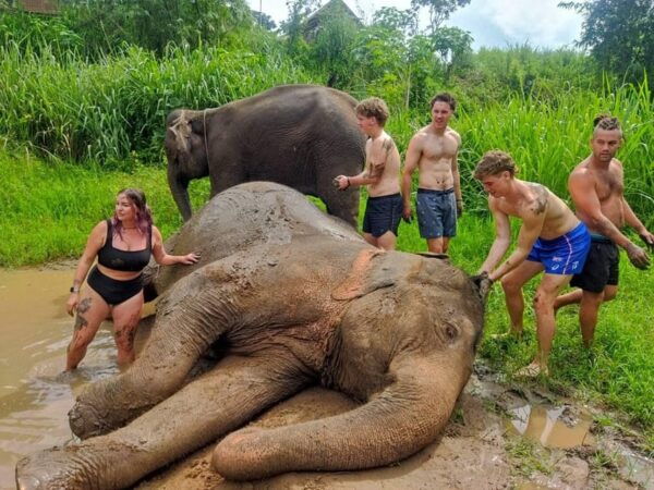 Chiang Mai: Doi Inthanon National Park & Elephant Sanctuary - What to Bring