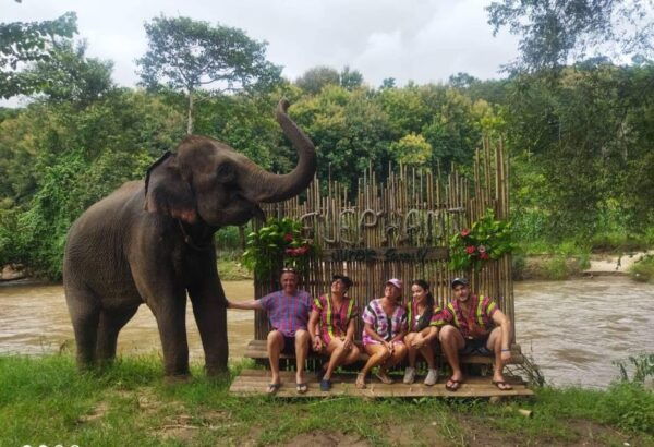 Chiang Mai: Doi Inthanon National Park & Elephant Sanctuary - Questions You May Have