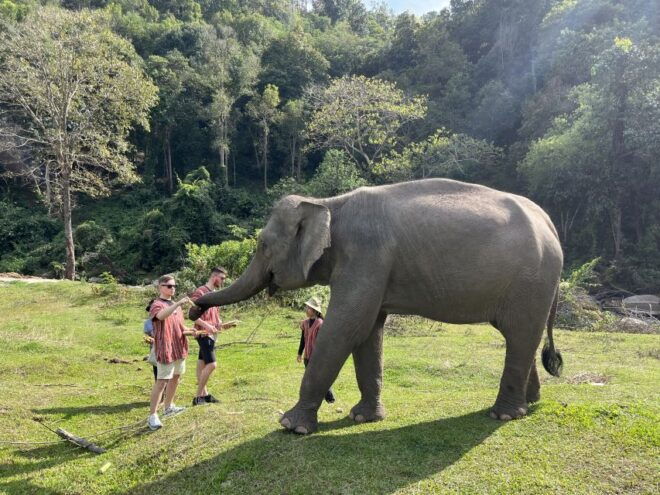 Chiang Mai: Doi Inthanon National Park & Elephant Sanctuary - Full Description