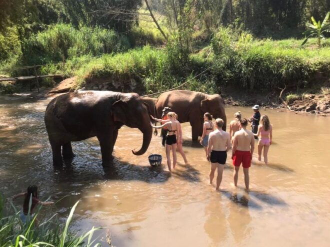 Chiang Mai: Doi Inthanon National Park & Elephants Sanctuary - Customer Review