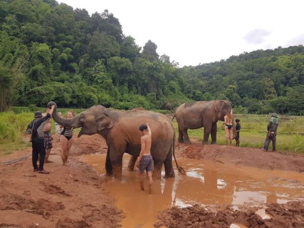 Chiang Mai: Doi Inthanon National Park & Elephants Sanctuary - Directions to Elephants Sanctuary