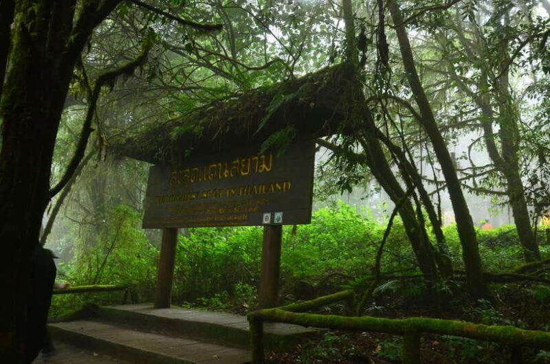 Chiang Mai: Doi Inthanon National Park Private Tour - Pickup and Itinerary