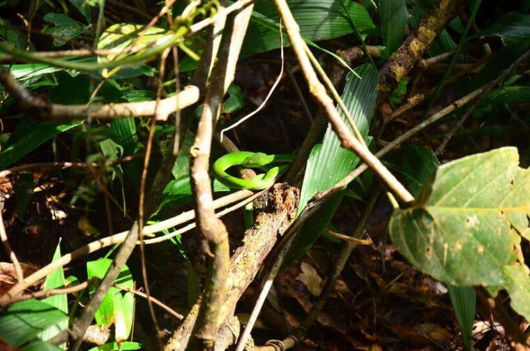 Chiang Mai: Doi Inthanon National Park Private Tour - Inclusions and Exclusions