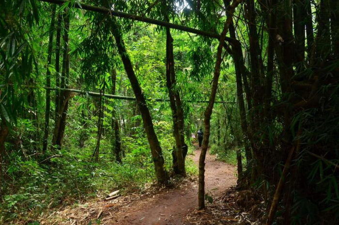 Chiang Mai: Doi Inthanon National Park Private Tour - Duration and Cancellation Policy