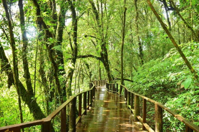 Chiang Mai: Doi Inthanon National Park Private Tour - Frequently Asked Questions