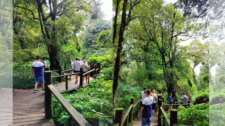 Chiang Mai: Doi Inthanon National Park Sightseeing - Pricing Details