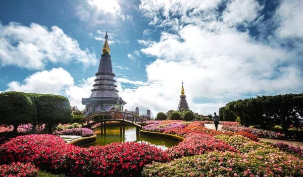 Chiang Mai: Doi Inthanon National Park Sightseeing - Customer Feedback