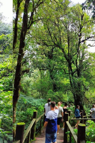 Chiang Mai: Doi Inthanon National Park Sightseeing - Tips for Visitors