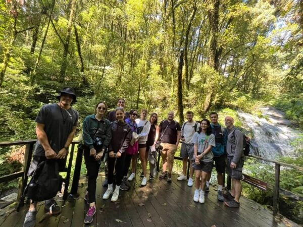 Chiang Mai: Doi Inthanon National Park Sightseeing - Best Time to Visit