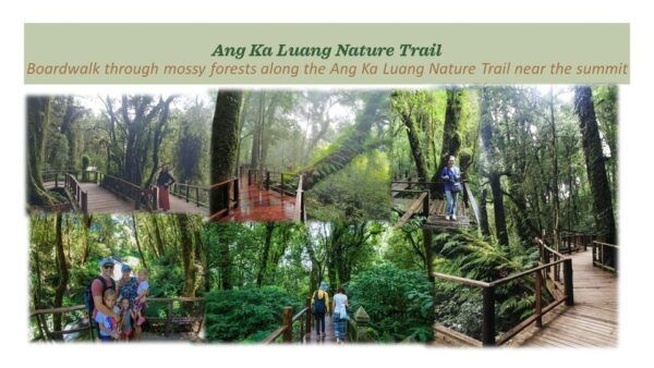Chiang Mai: Doi Inthanon National Park Sightseeing - Questions You May Have